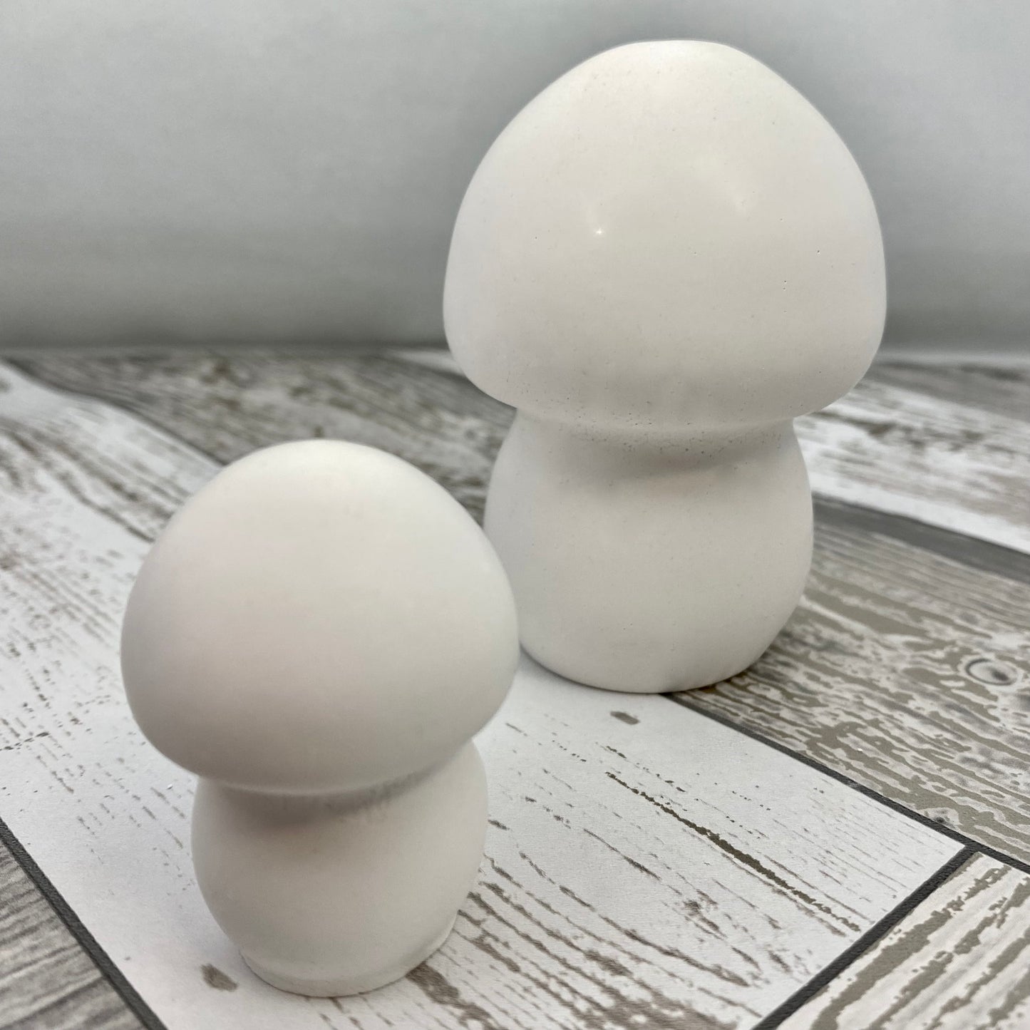 Mushroom Statue Blanks