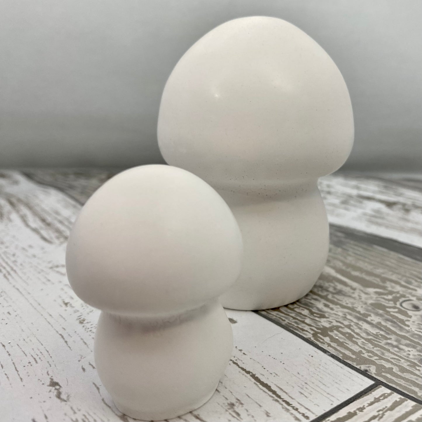 Mushroom Statue Blanks