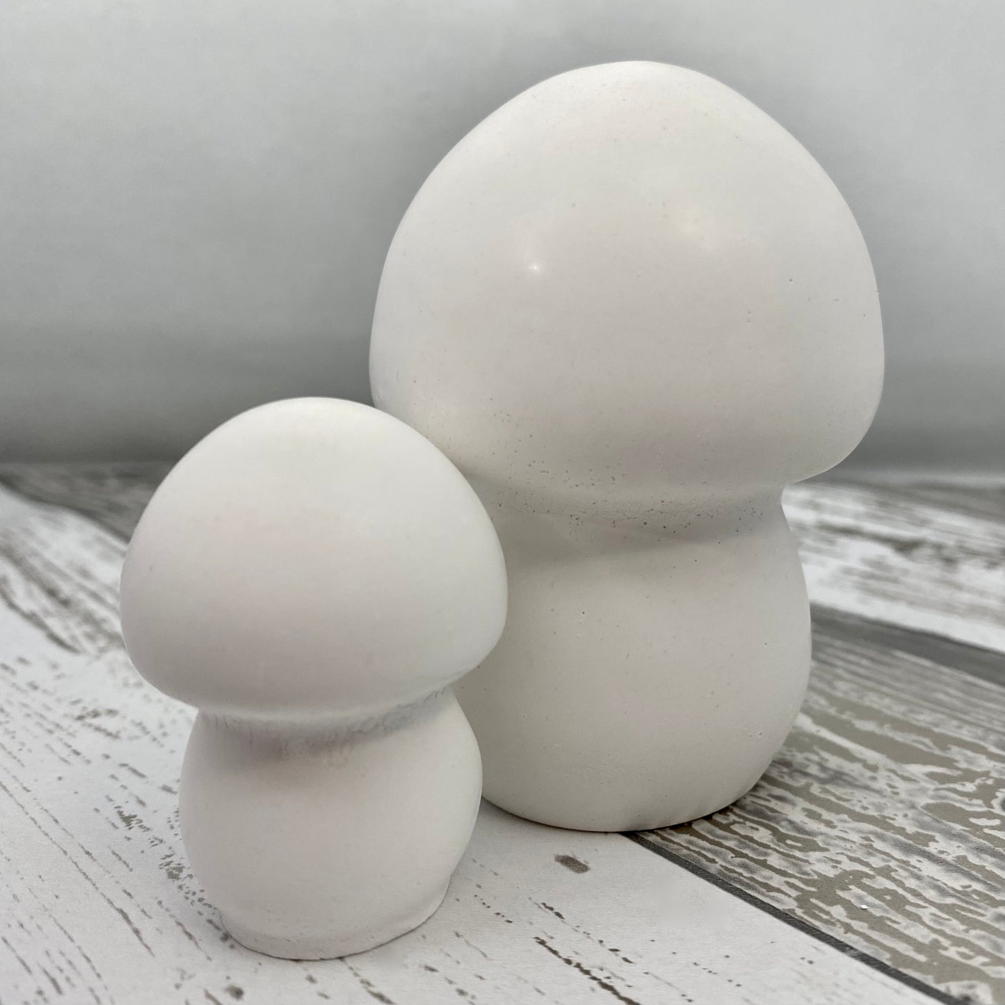 Mushroom Statue Blanks