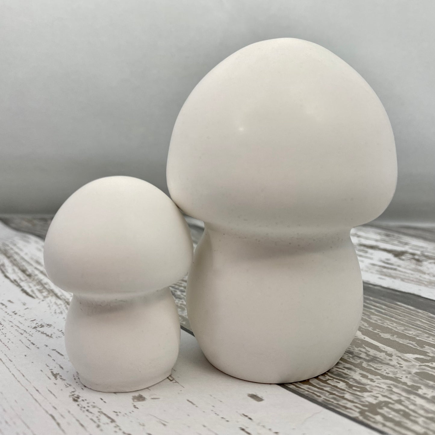 Mushroom Statue Blanks