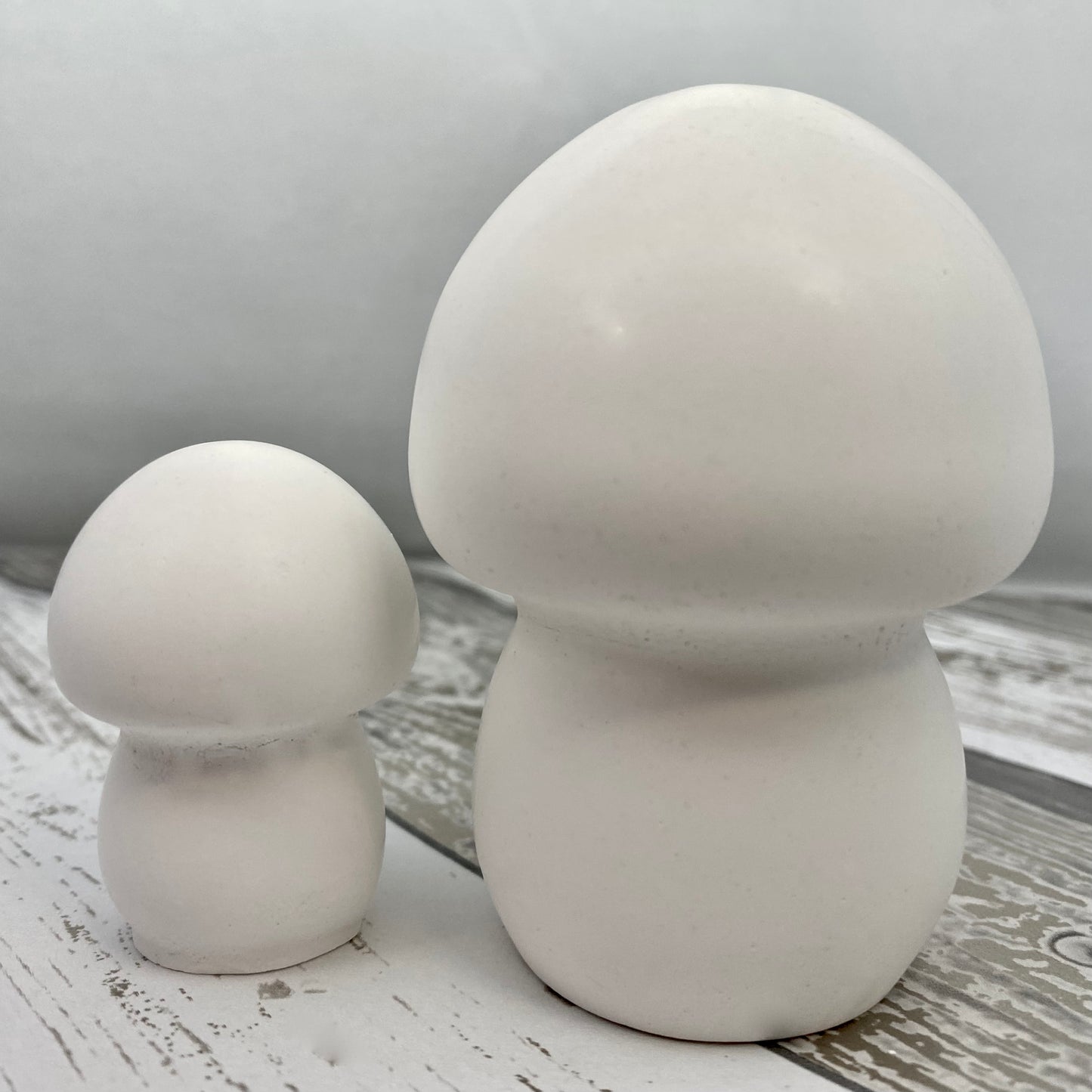 Mushroom Statue Blanks