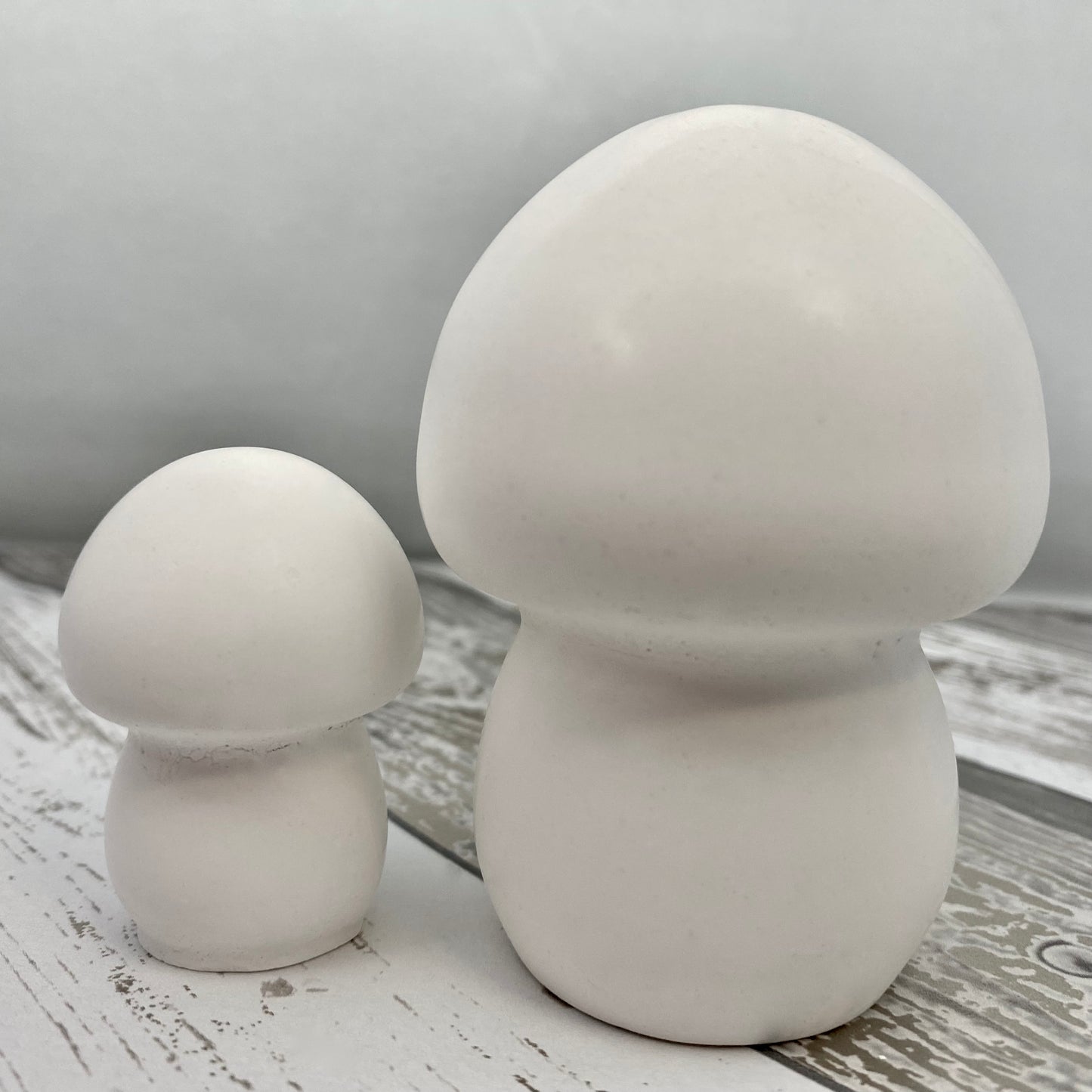 Mushroom Statue Blanks