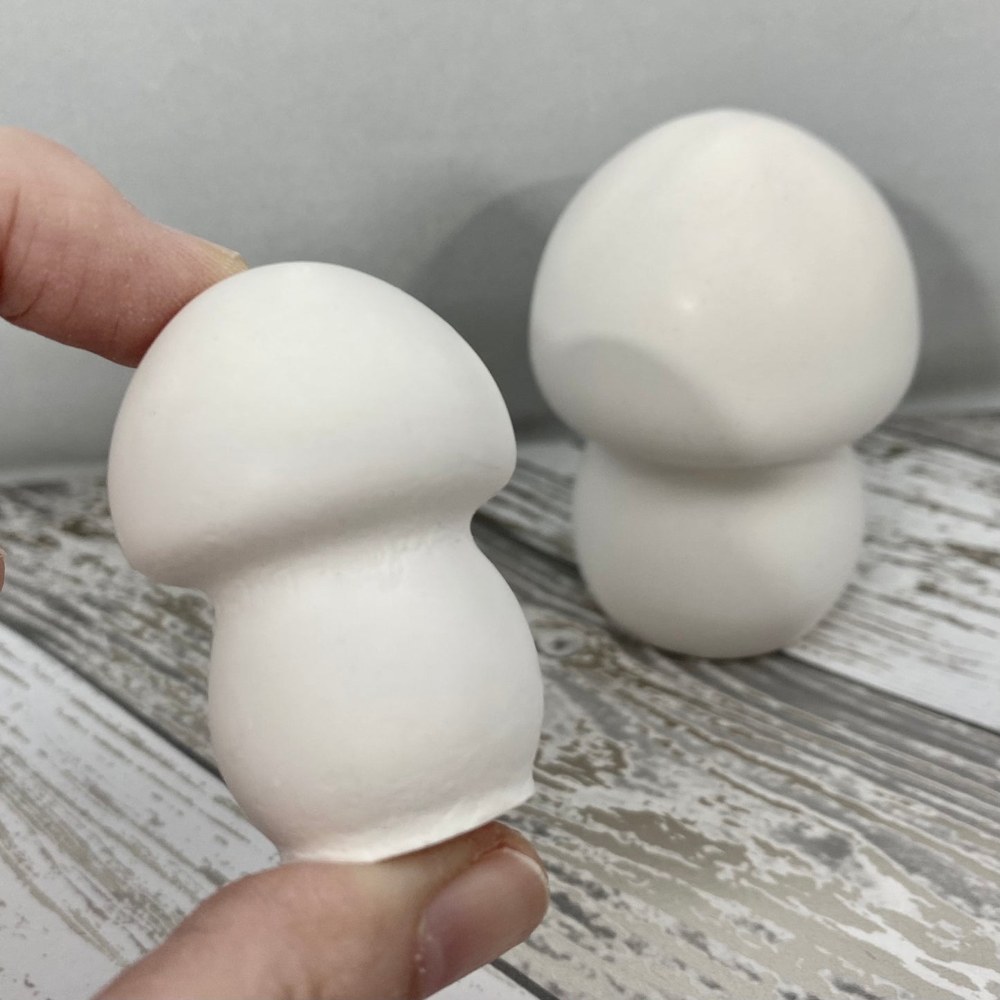 Mushroom Statue Blanks