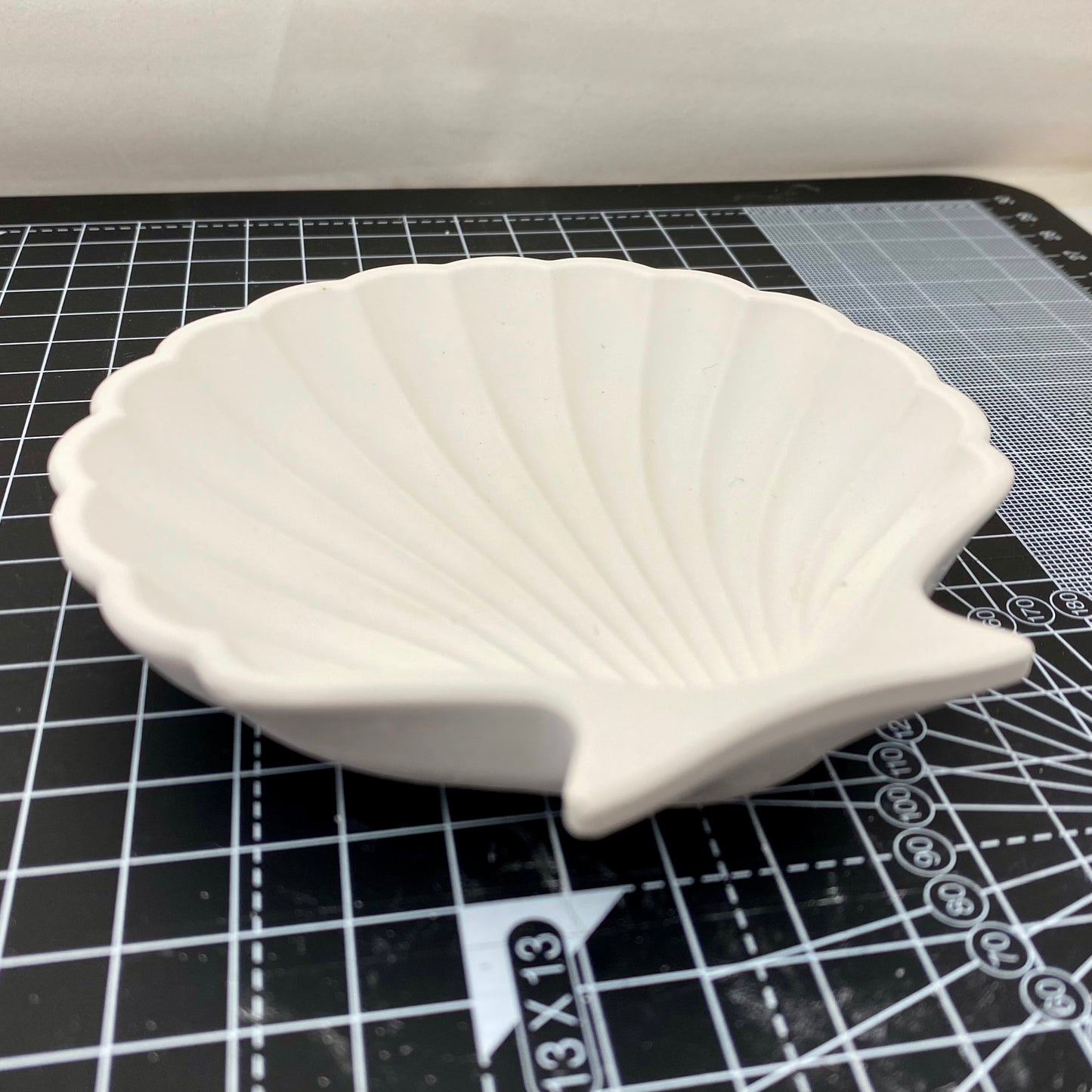 Hand Cast Plaster Shell Trinket Tray ready to paint. Side view.