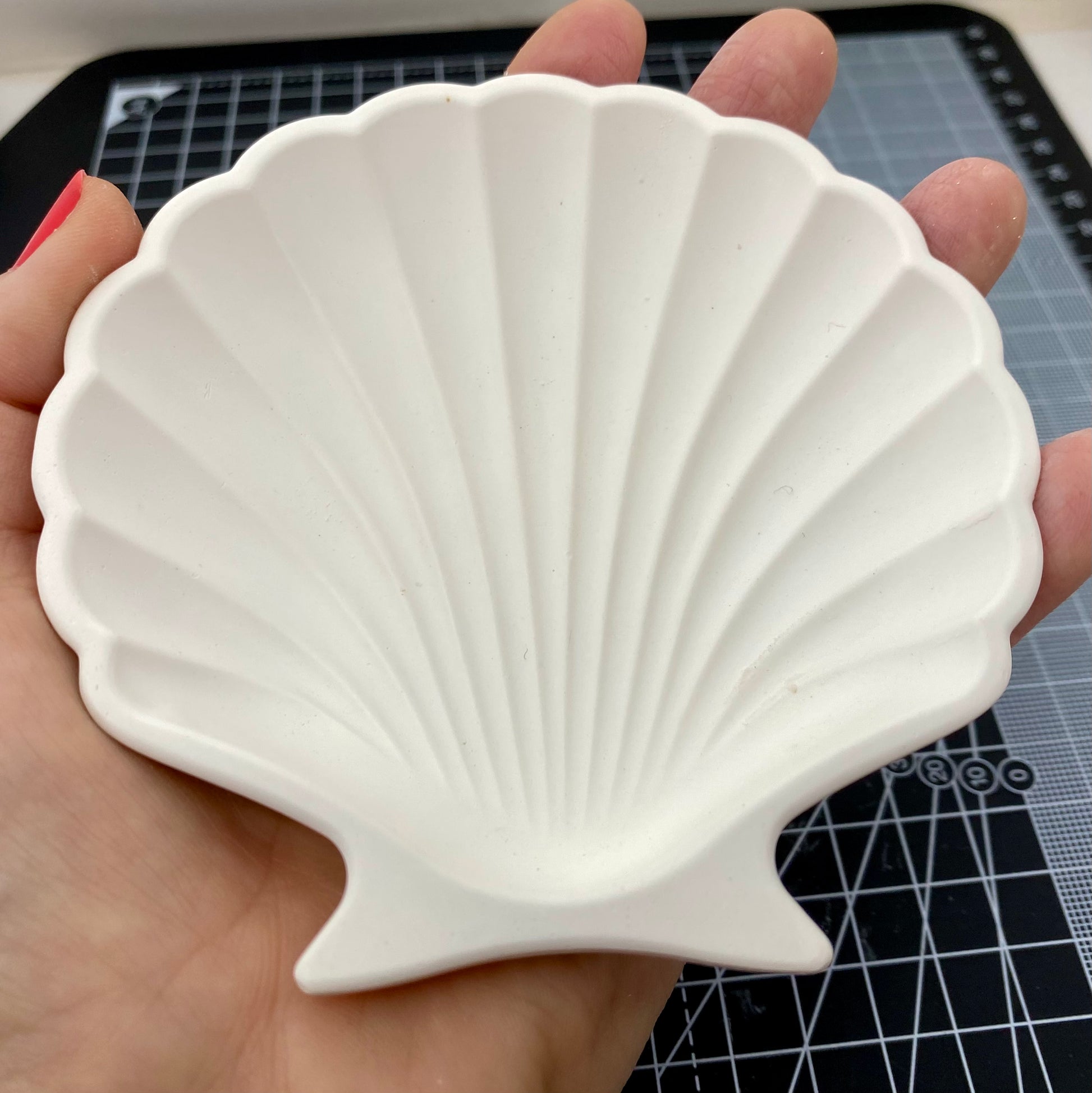 Hand Cast Plaster Shell Trinket Tray ready to paint. Held to show size.