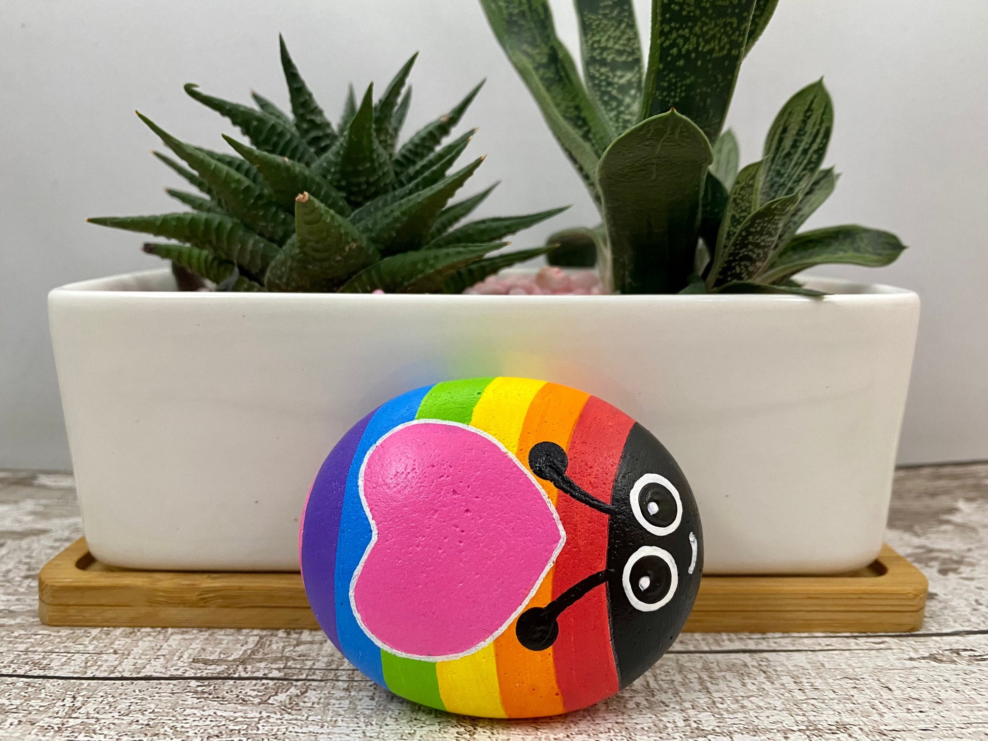 Hand painted Rainbow Bug with Heart Pebble, with succulent plants behind