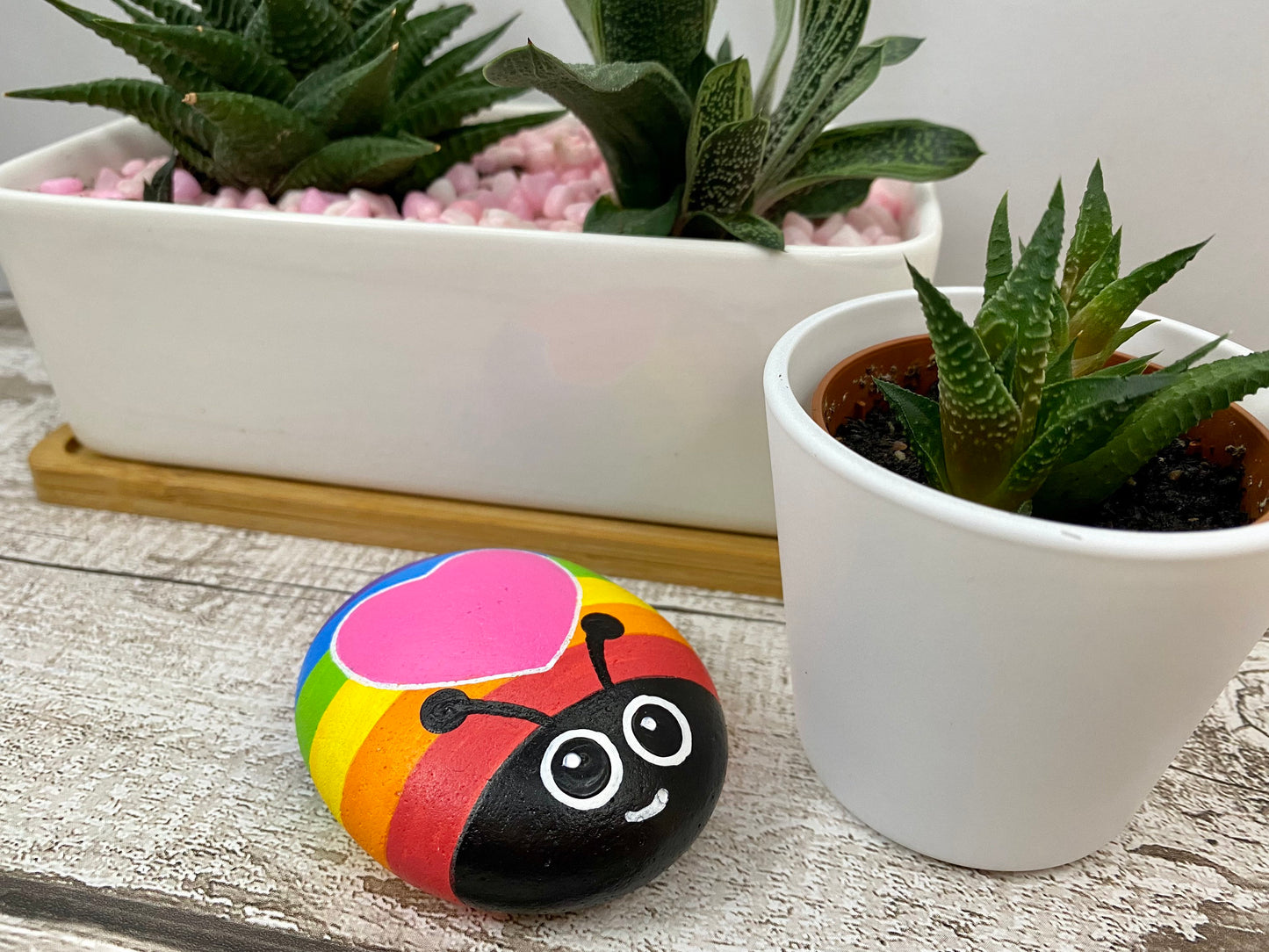 Hand painted Rainbow Bug with Heart Pebble, with succulent plants behind